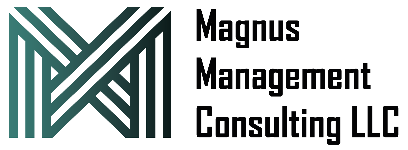 Magnus Management Quality, Strategy and Excellence Consultant