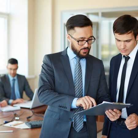 Other Consulting Services