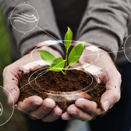 Smart agriculture IoT with hand planting tree background ISO 20121:2012 Event sustainability management systems